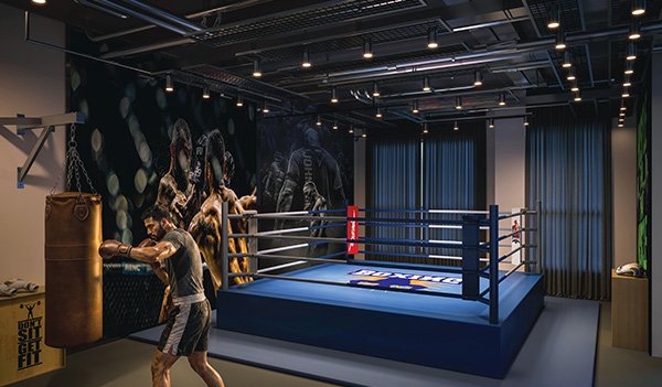 MMA & Boxing Zone